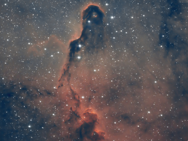 IC1396 - Эмиссионная туманность Хобот Слона в созвездии Цефея